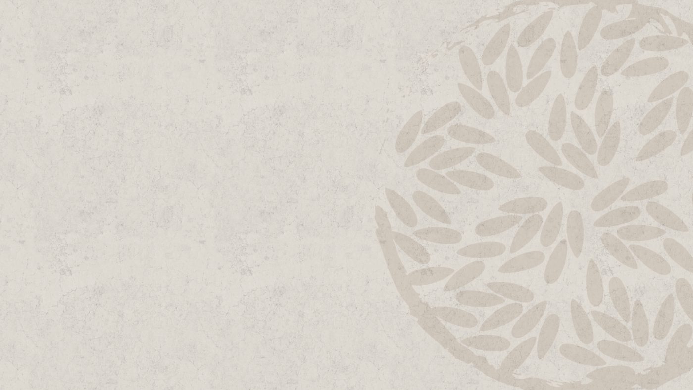 Ngũ cốc LoliFood – Ngũ Cốc Thuần Thực Vật