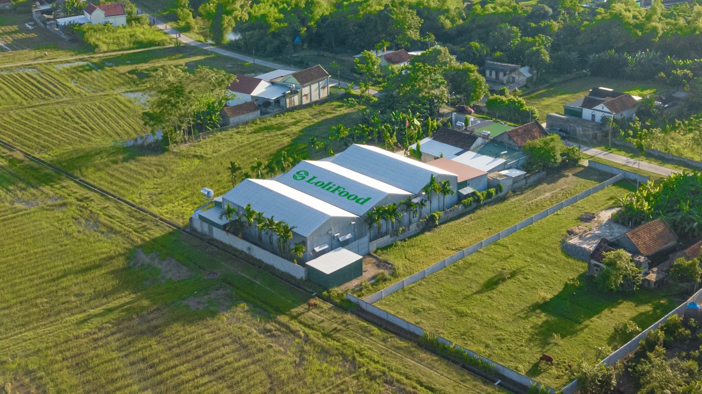 Ngũ cốc LoliFood – Ngũ Cốc Thuần Thực Vật