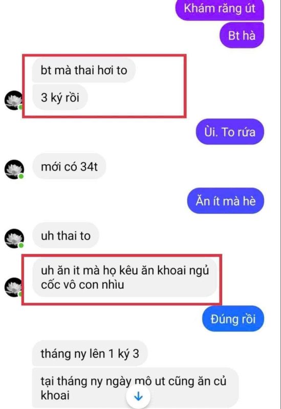 Ngũ cốc LoliFood – Ngũ Cốc Thuần Thực Vật
